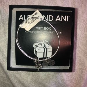 Alex and Ani Gift Box Bracelet!